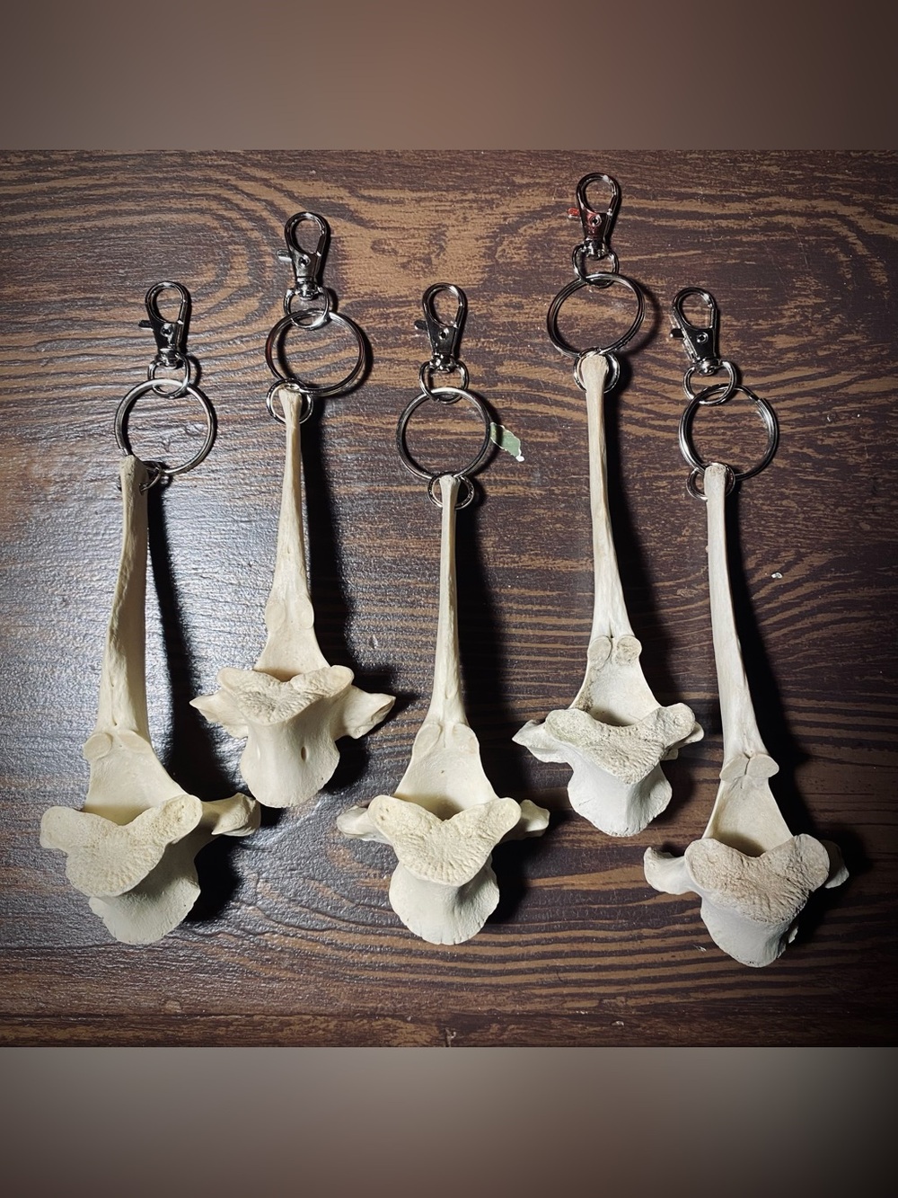 Whitetail Deer Vertebrae Keychain